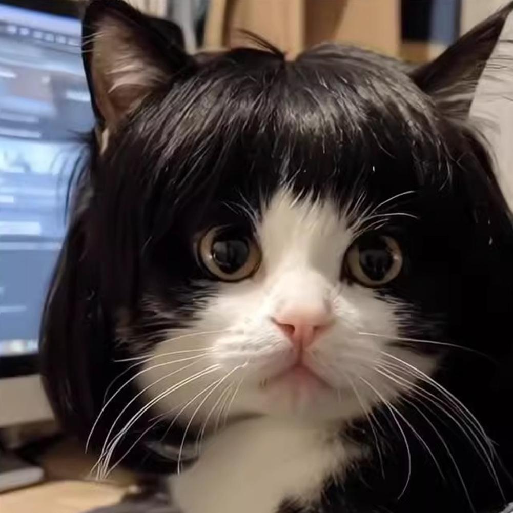 Accesorios de peluca para gato, tocado para perro, disfraz divertido, disfraz de cachorro, vestido de Cosplay, peluca bonita para mascota, accesorios divertidos para la cabeza