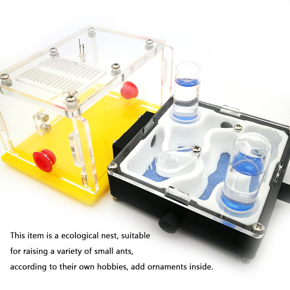 Ant Nest X6-B1 X6-A1 DIY Moisture Feeding Area Acryl Ant Farm Ants House Birthday