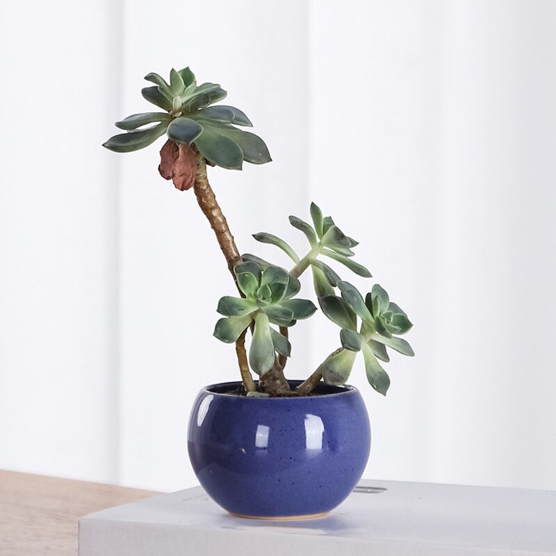 Koreańskie Macarons świeże ceramiczne sukulenty garnki zielone rośliny z otworami małe doniczkowe rośliny kreatywne kryty dekoracja biurka