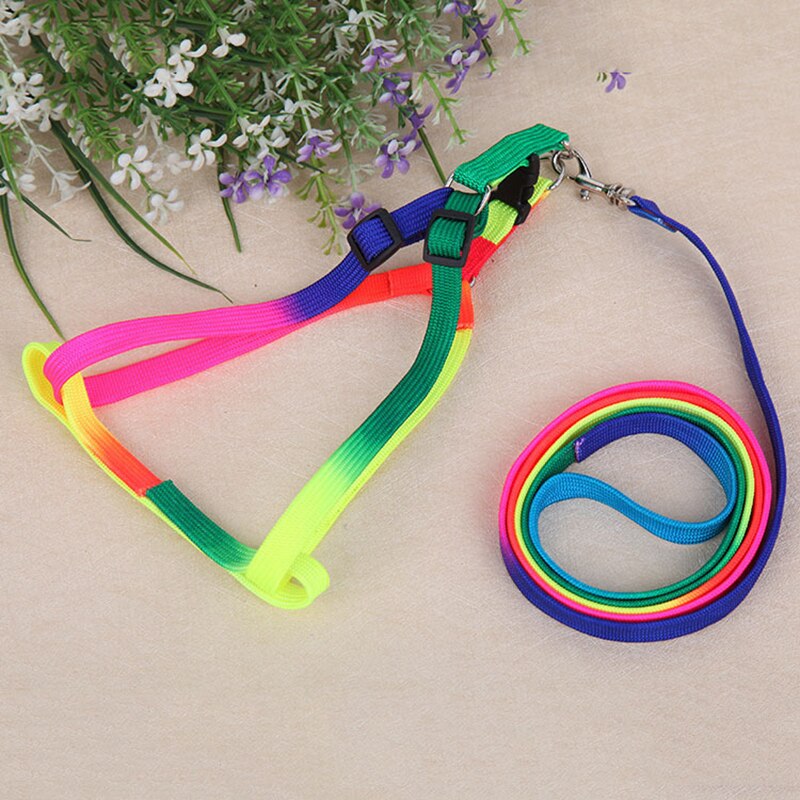 Huisdier Aangelijnd Kit Kleurrijke Borst Terug Trekkabel Mode Regenboog Hond Keten Zachte Puppy Leash