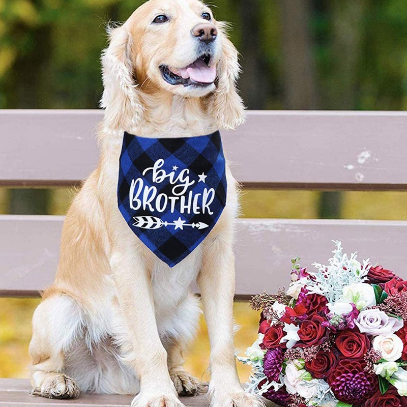 Grand frère Plaid chien Bandana annonce de grossesse chien Bandana sexe révéler Photo accessoire écharpe pour animaux de compagnie accessoires foulards pour animaux de compagnie