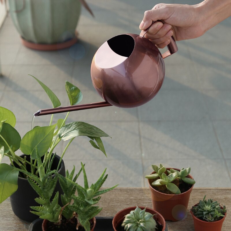 1L Stainless Steel Watering Pot Large Capacity Long Spout Watering Can Irrigation Garden Indoor Plants Garden Tool