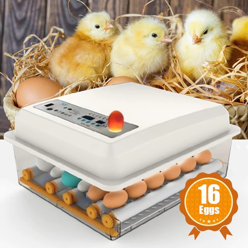 220V Egg Incubator Brooder Bird Incubators Hatchers Chickens Poultry Hatcher Farm Automatic Hatchery Incubation Tools