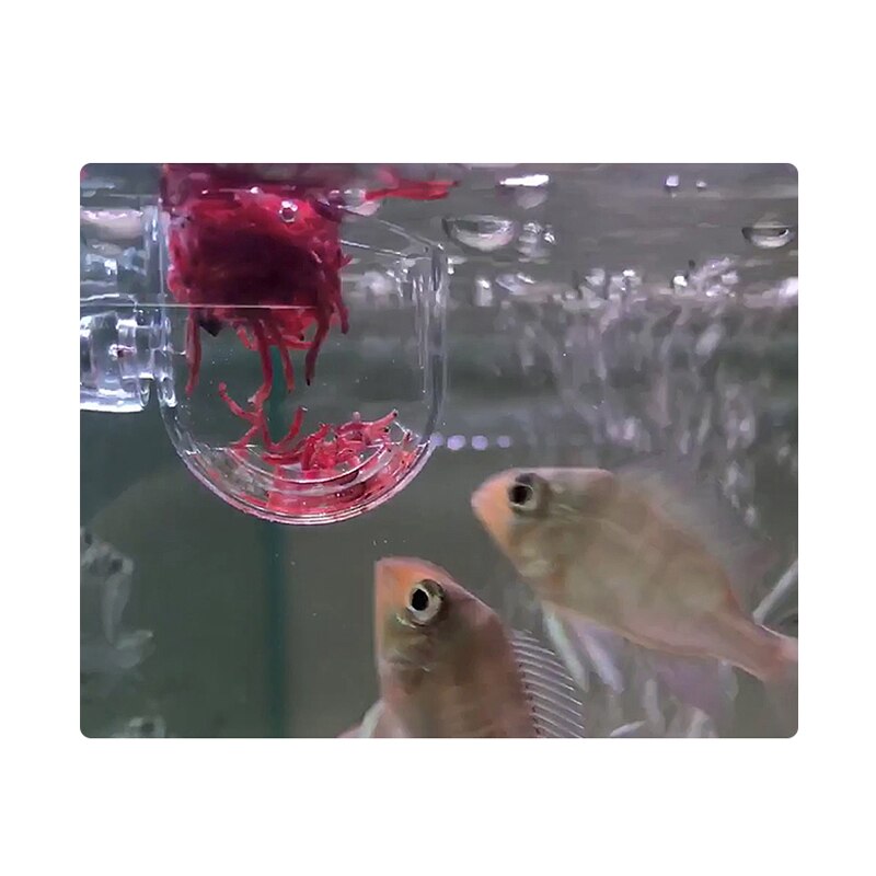 2pcs Aquarium Fish Tank Fish Feeder Glass Plant Cup Red Worm Feeding Suction Cup Food Container Aquarium Accessories