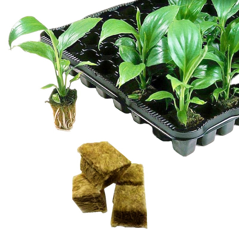 Ventilerande praktiska hem trädgårdstillbehör plantering jordfri odling stenull kuber hydroponisk växa mini block kompress bas