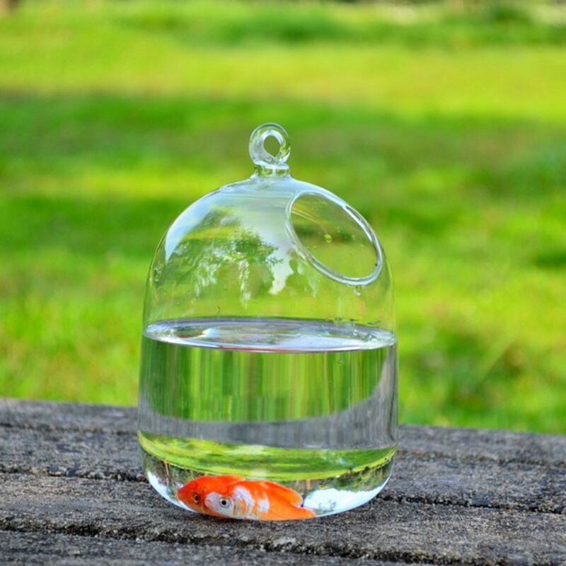 Hängande glas vas akvarium svart hylla guldfisk tank tillbehör