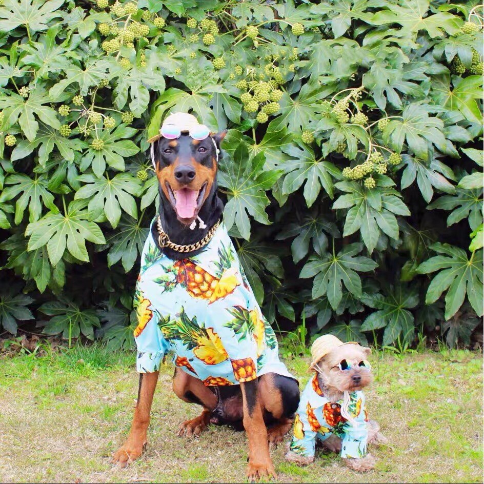 Hawaiian Bloem Hond Shirt Voor Kleine Medium Grote Honden Puppy Franse Bulldog Pug Zomer T-shirt Vest Huisdier Kleding Kostuum TLC15