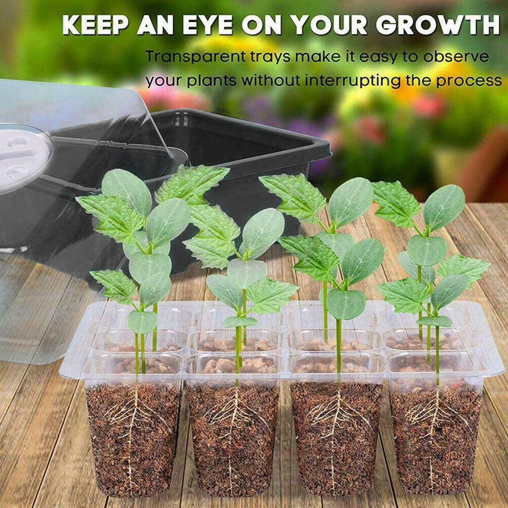 12 Hole Plant Seed Grows Box Nursery Seedling Starter Garden Yard Tray