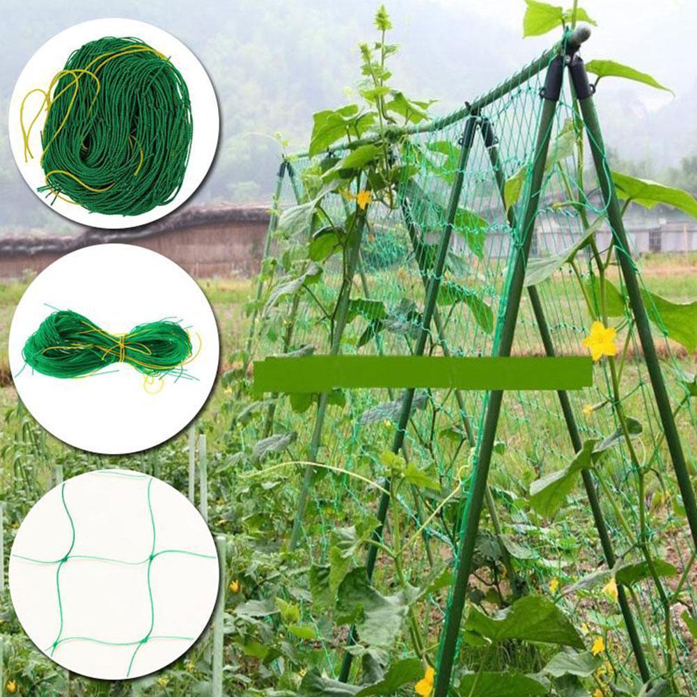 Plant Trellis Netting Pea Netting Green Garden Netting Trellis Net for Bean Fruits Vegetables Climbing Plants