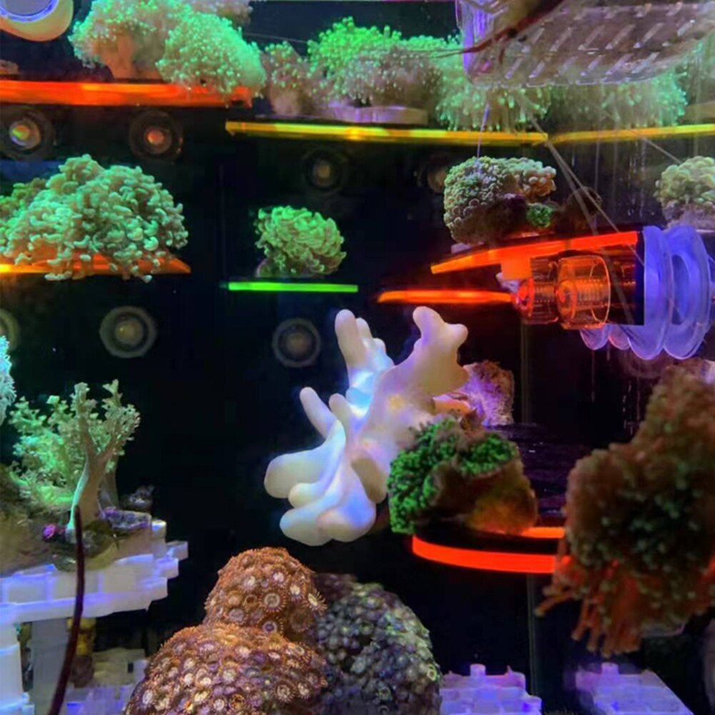Fish Tank Fluorescent Coral Frag Rack Acrylic Aquarium Reef with Plugs Holder Suction Cup Mount Water Plant Stand Accessories