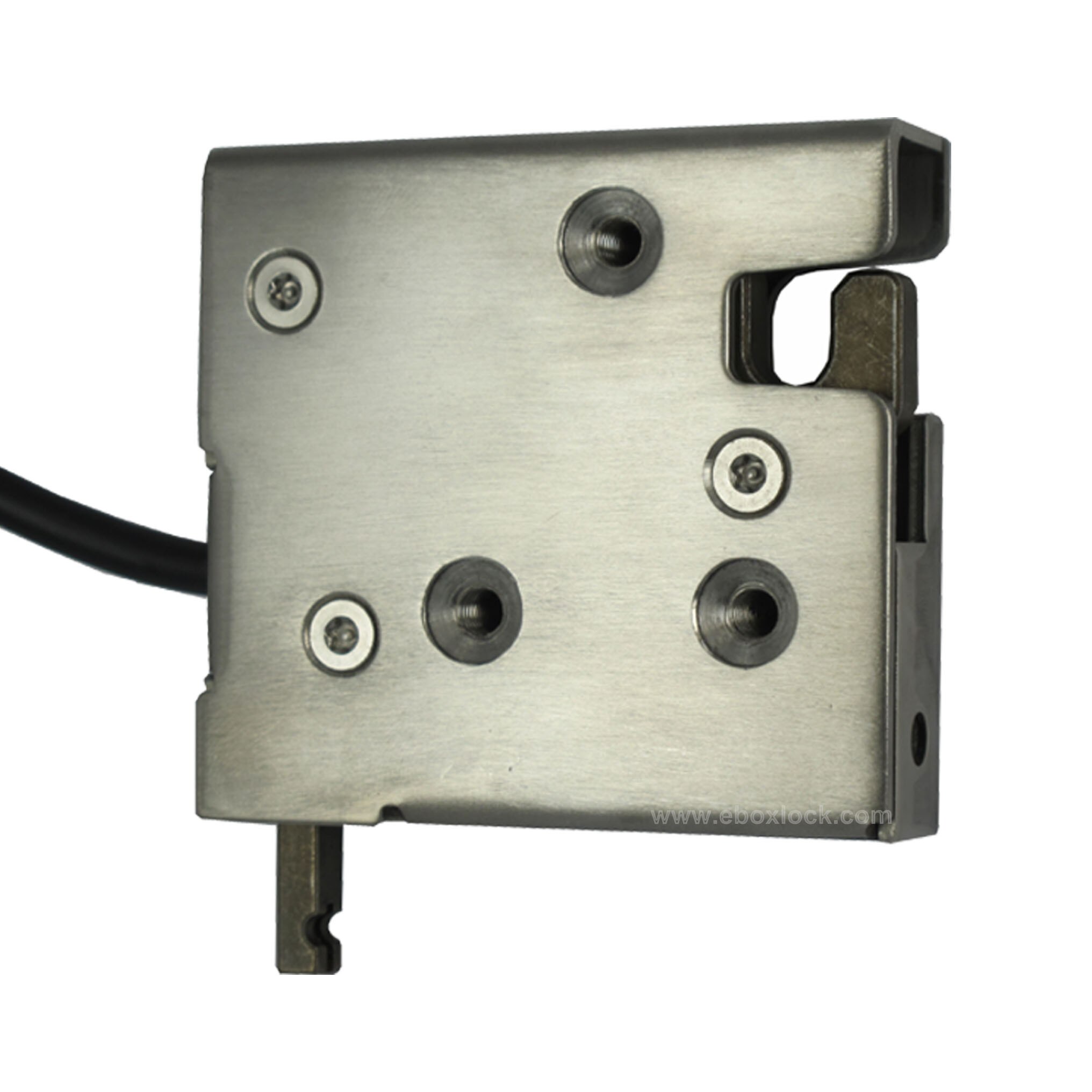 Rvs Elektrische Kabinet Lock voor Automaat met rapportage en Handbediening 12VDC/24VDC (MD1220LS-H)