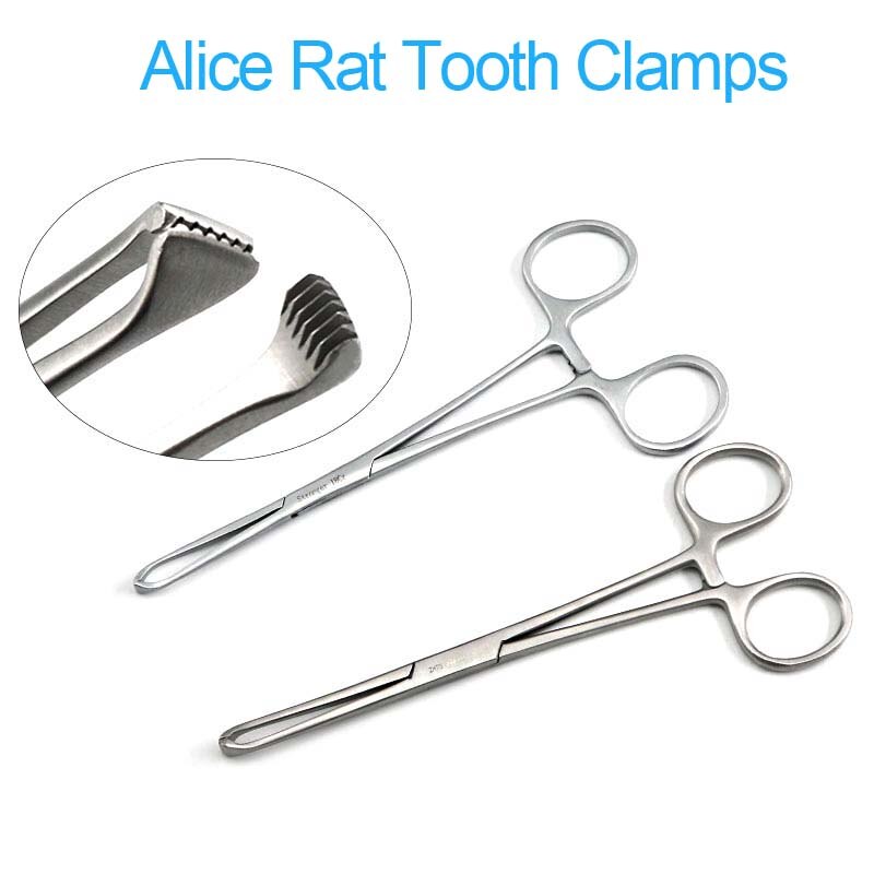 Pinzas para dientes de Alice Rat, instrumentos quirúrgicos ortopédicos para mascotas, pinzas para tejidos, pinzas cervicales, pinzas uterinas