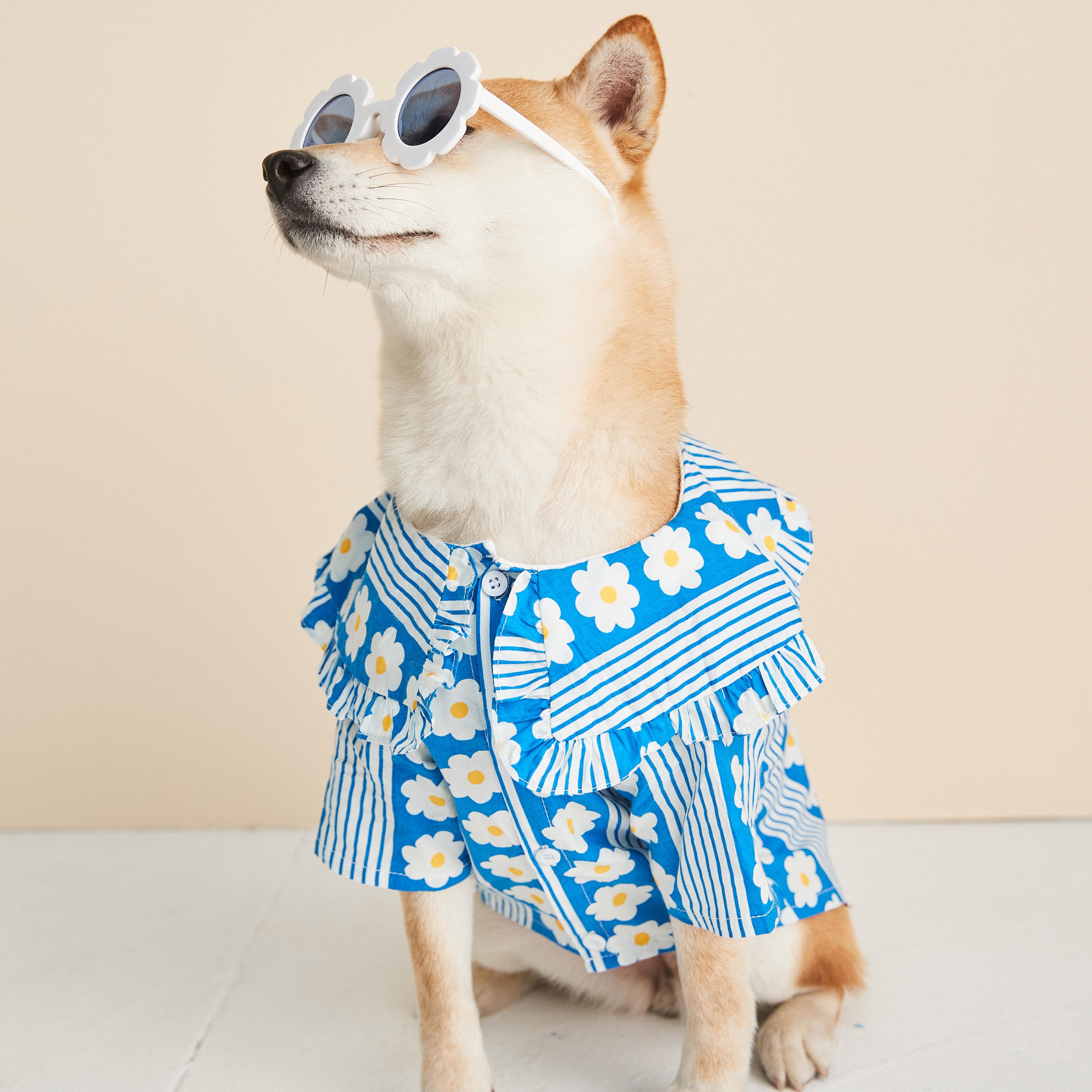 Dog clothes spring and summer thin lotus leaf flower shirt Teddy Schnauzer Pomeranian fighting Shiba Inu cat pet clothes