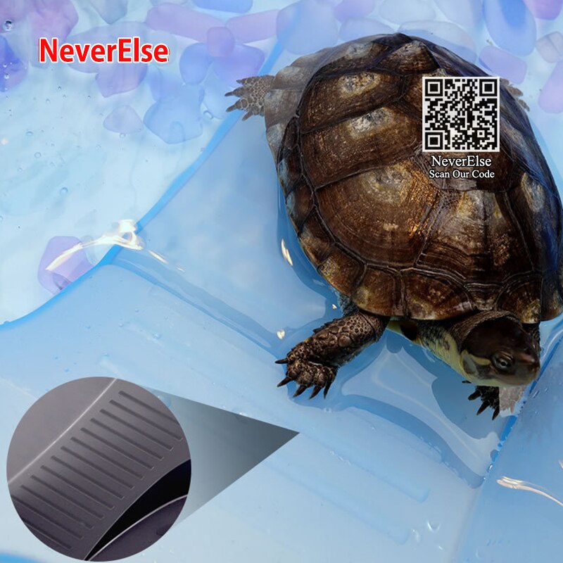 Small Tank For Reptile Habitat Turtle Tortoise Vivarium Box with Basking Ramp Aquarium Tank Climb Ramp Breeding Box, 25x17x11cm