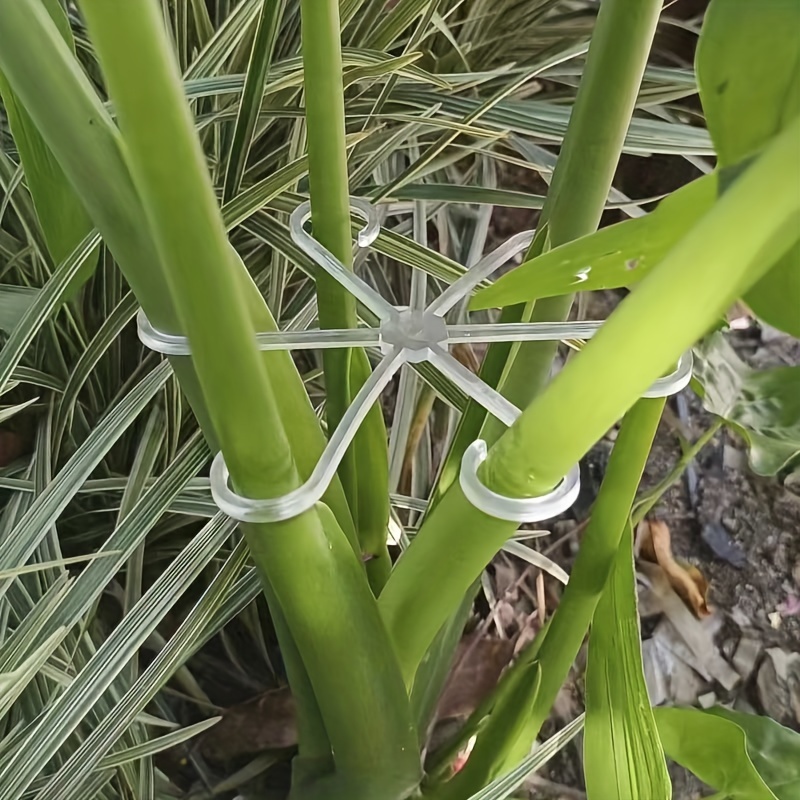 4 stuks plastic plantensteunclips, groene wijnstokklimbeugels, verstelbare tuinplantenstengelclips voor vaste en rechtopstaande groei