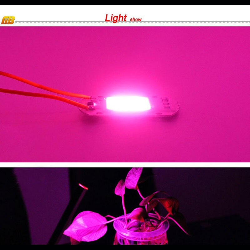 Grow Light Full Spectrum LED COB Lamp AC220V 20W 30W 50W Driverless Input Smart IC Driver DIY LED Floodlight Spotlight Bulb
