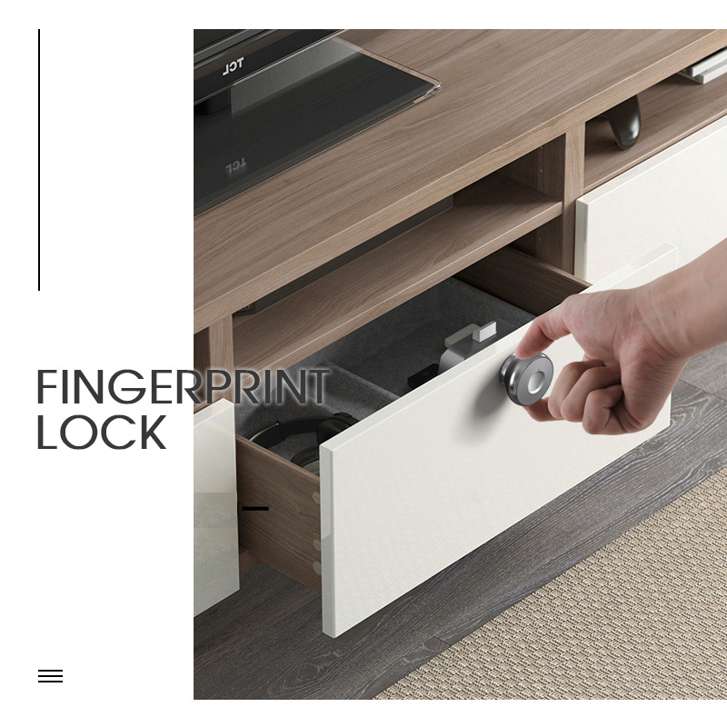 Mini Fingerprint cabinet lock biometric electric door lock