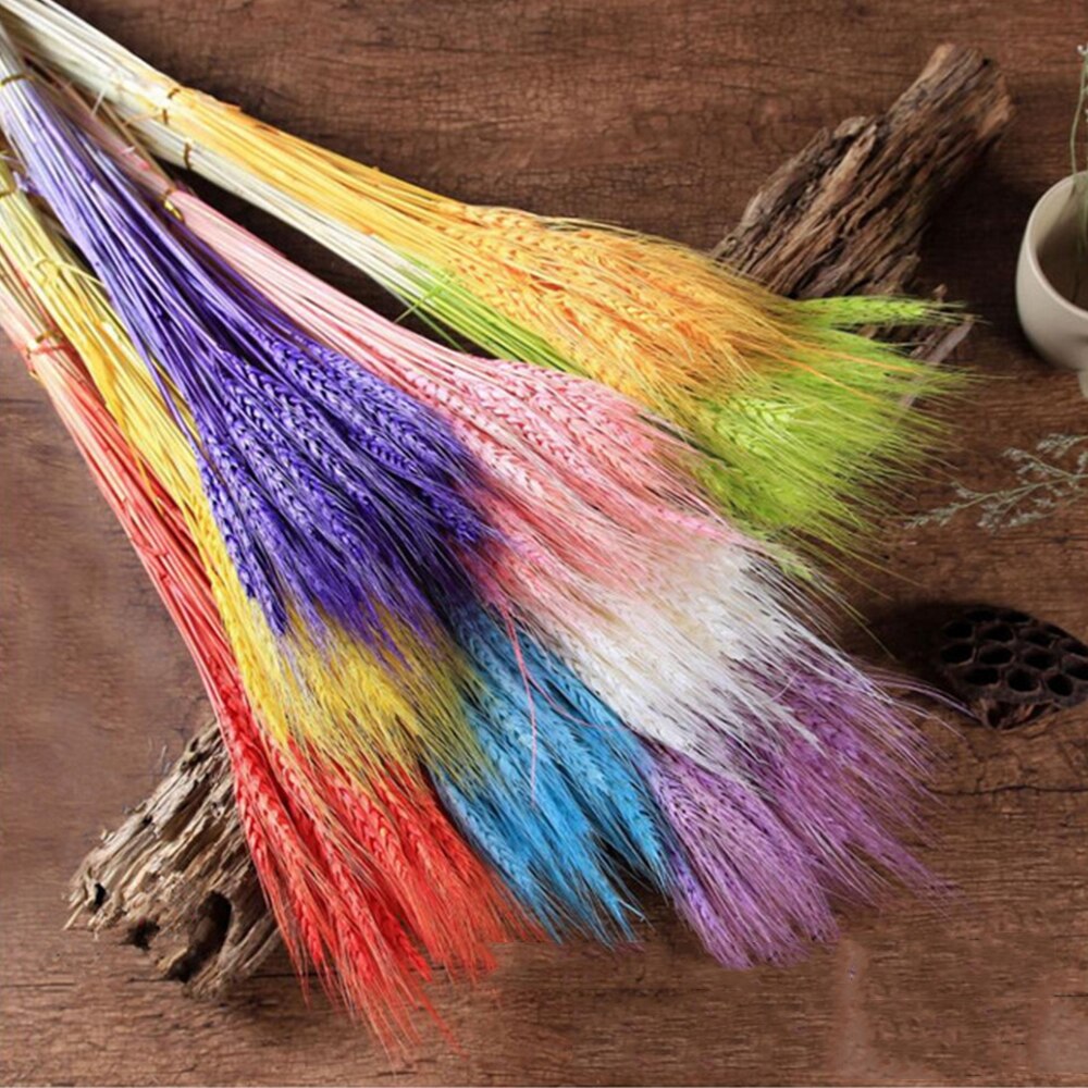 50Pcs/lot Real Wheat Ear Flower Natural Dried Flowers or Wedding Party Decoration DIY Craft Scrapbook Home Decor Wheat Bouquet