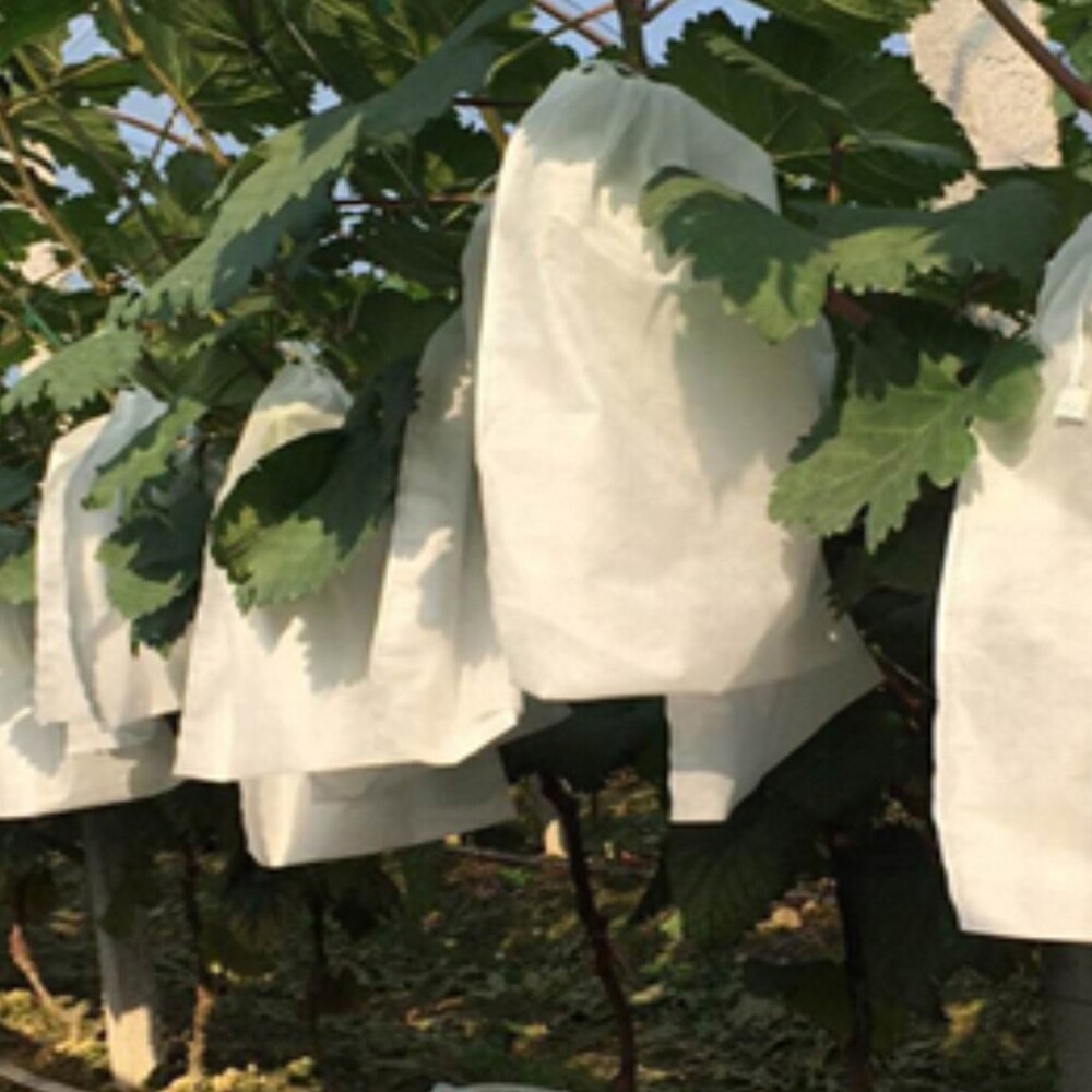 100 sztuk włókniny worki winogron owoce i warzywa przeciw zamarzaniu, muchy, ptaki, pszczoły przeciwdeszczowe przezroczysty ochronny rękawy