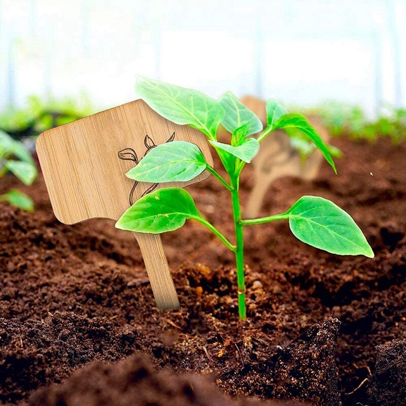 Bamboo Plant Label 50 Houses and T-Shaped Garden Labels for Seed Potted Herbs, Flowers and Vegetable (6 x 10 cm)