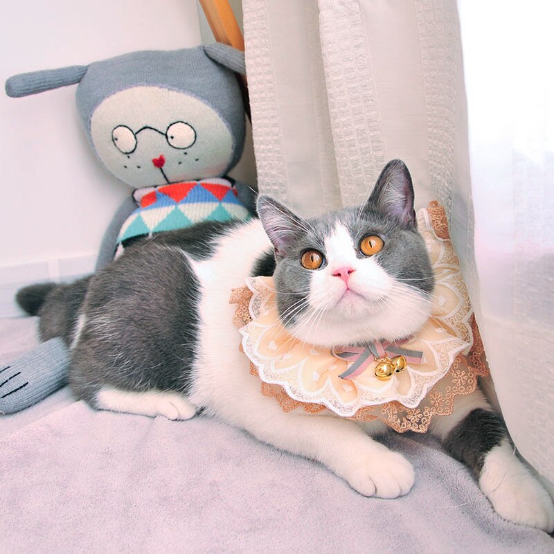 Pet Lace Bib Cat Dog Photography Props Rabbit Collar Bell Accessories Saliva Towel Pearl Pendant Adjustable