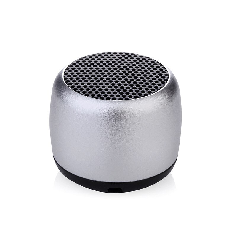 Bluetooth Speaker Mini Klankkast Draadloze Luidsprekers Draagbare Kleine Soundbar Legering Muziekdoos Caixa De Som Altavoz Bluetooth: SILVER