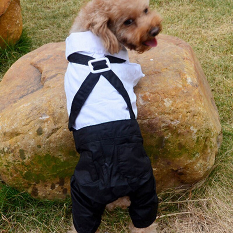 Ropa formal de cuatro patas para mascotas, trajes de otoño, ropa para patas con tirantes, vestidos para perros, lazos, suministros para mascotas