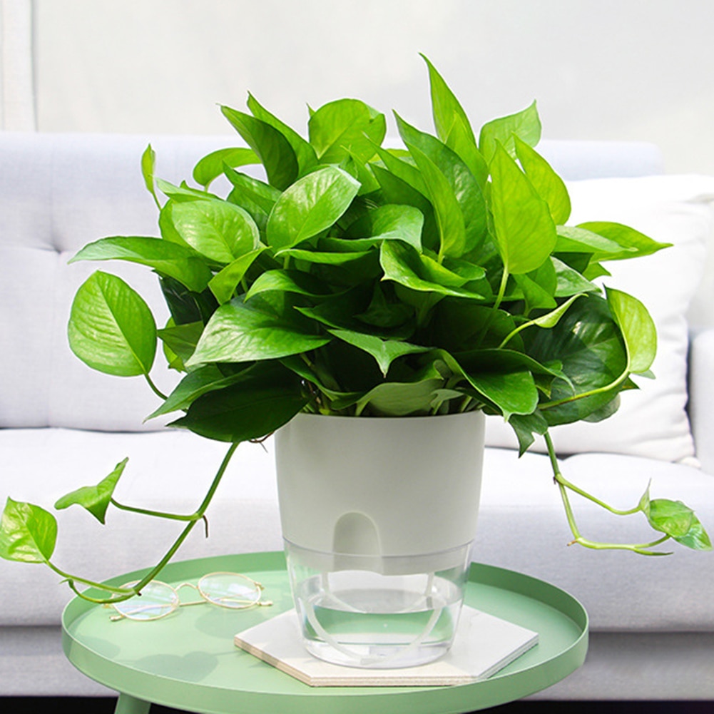 2 Tier Round Resin Hydroponic Flowerpot Home Office Desk Flower Pot Green plants Self-watering System Office Desk Decoration