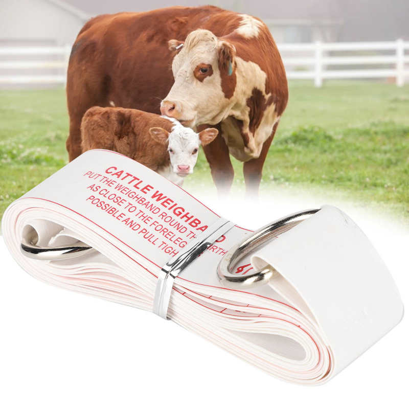 Bauernhof Ebene Körper Messung Herrscher Vieh Band Messen Fehlschlag Gewicht Kontrast Lineal Weiche für Bauernhof Liefert Fütterung Eqipment