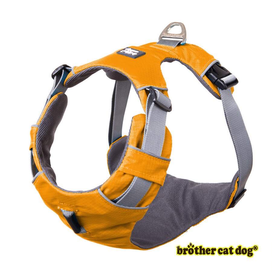 Reflecterende Huisdier Harnas Hond Accessoires Pet Dog Training Vest voor Medium Grote Grote Honden Verstelbare Outdoor Harnas Pitbull 8813: orange / S