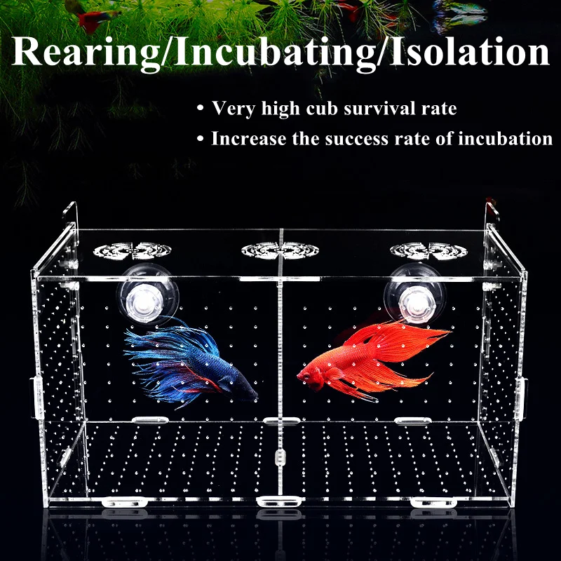 Aquarium boîte d'isolement boîte d'élevage de poissons acrylique boîte d'élevage boîte d'isolement incubateur de poissons diviseur accessoires d'aquarium fournitures de poisson
