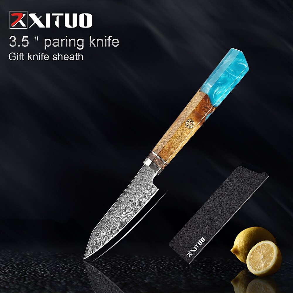 XITUO Kitchen Chef Knife Damascus Knife Set Japanese Knife Damascus Steel VG10 Santoku Paring Knives Cooking Tool: 4-DMTLSZ-R9
