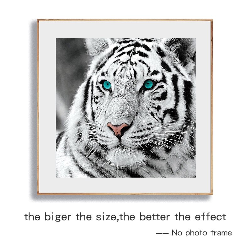 5d diy diamant målning hel fyrkantig vit tiger korsstygn diamantbroderi djur mosaik bild av strass dekor