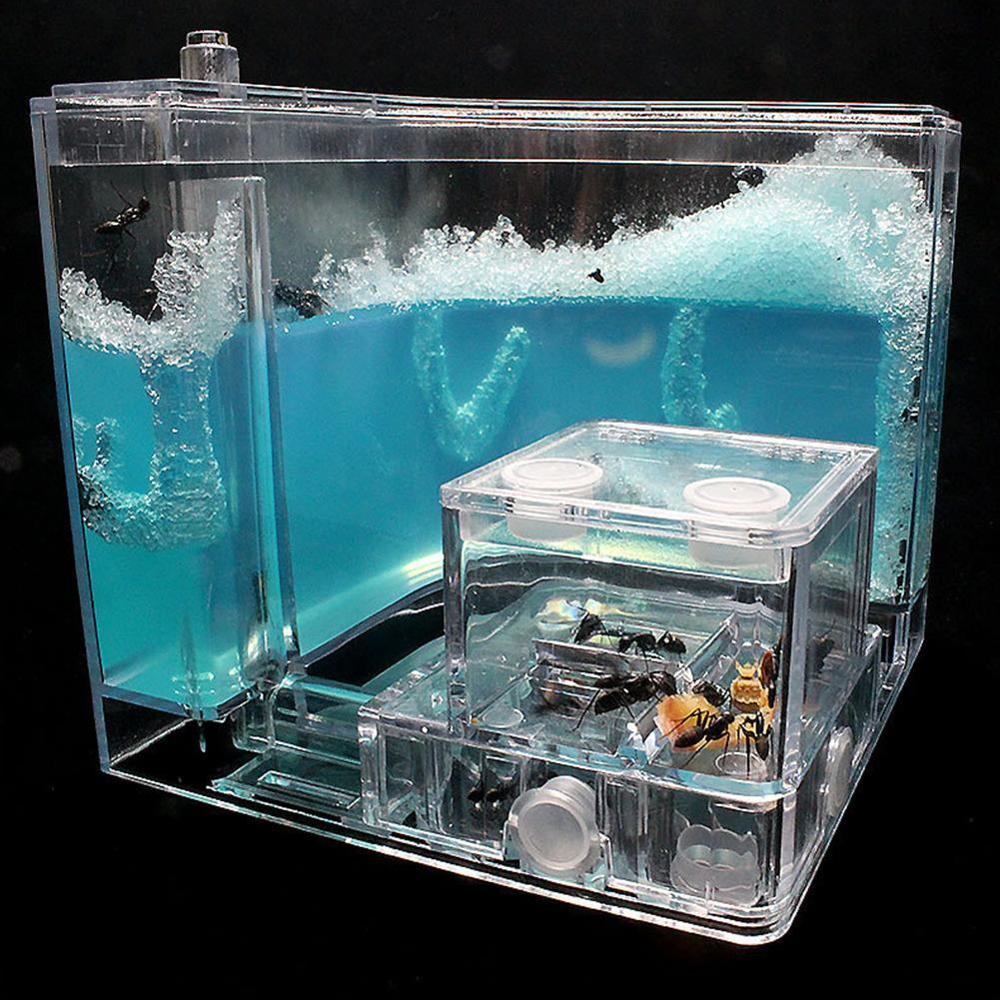 Large Acrylic Ant Farm with Feeding Area Big Ants House Ant Nest Villa Insect Pet Anthill Workshop 6 Layers 19.5*15*22cm
