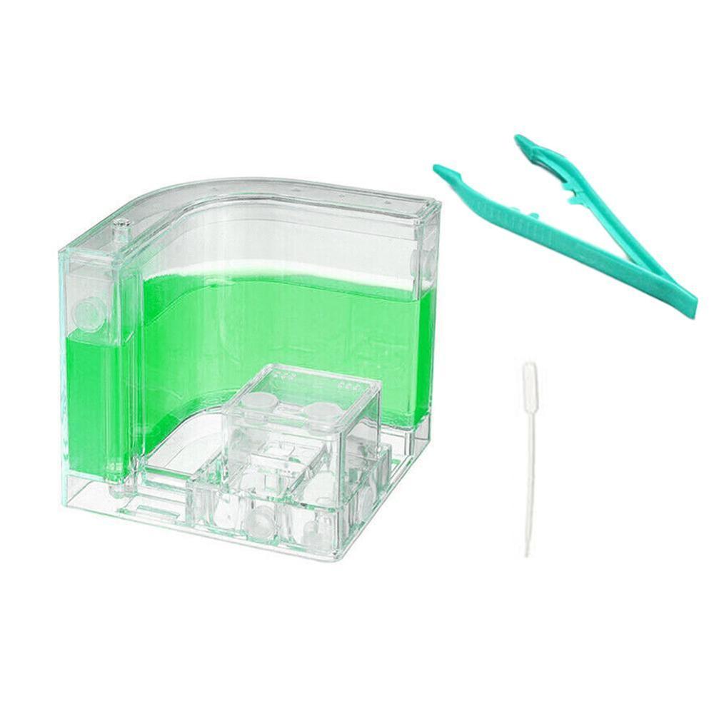 Large Acrylic Ant Farm with Feeding Area Big Ants House Ant Nest Villa Insect Pet Anthill Workshop 6 Layers 19.5*15*22cm: Green