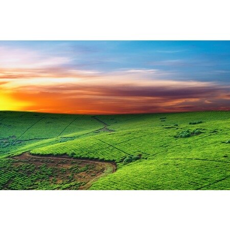 Sunset Landscape Wall Paper 289472406