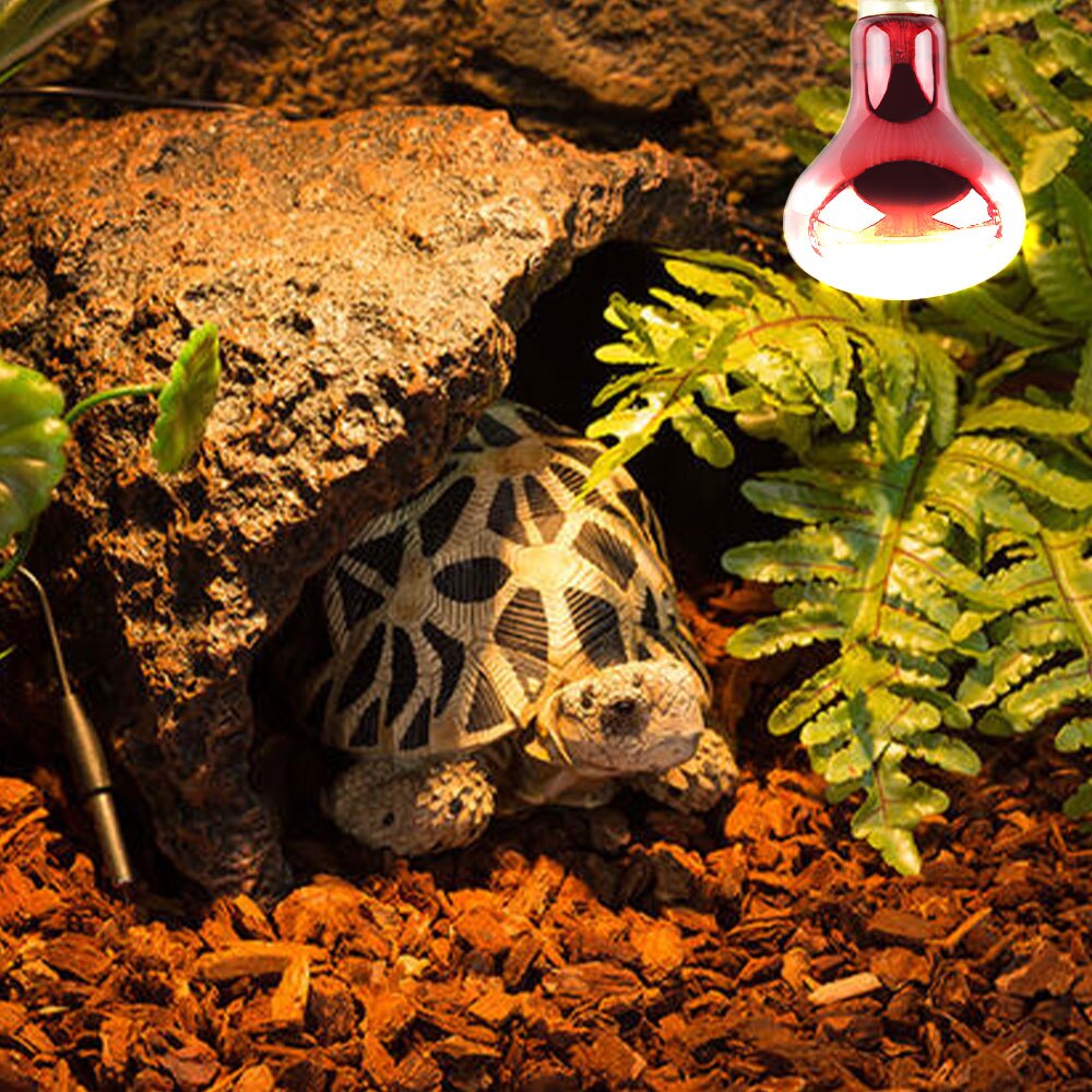100w Led Infrared Basking Spot Heat Lamp Bulb Red Light Heat Bulbs For Pet Lizards Snakes Reptiles