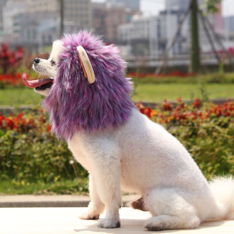 Hond Cap Halloween Huisdier Leeuw Grappige Leuke Animal Kostuum Cosplay Leeuw Pruik Kat En Hond Hoofdtooi Hoed Dierbenodigdheden