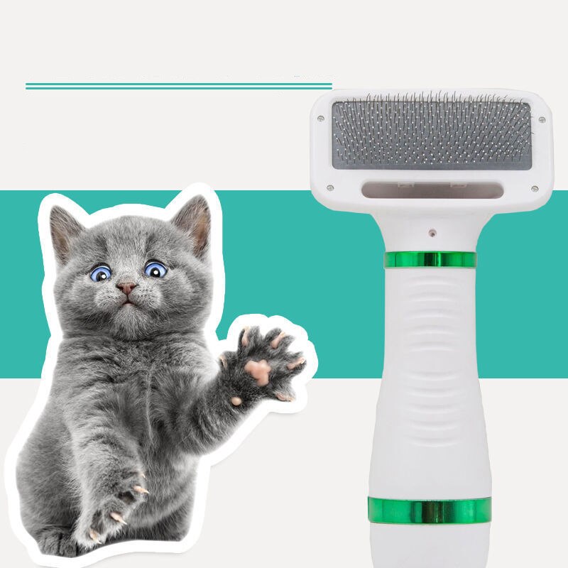 Föhn Föhn Voor Honden Föhn Hond Grooming Föhn Voor Huisdier Droger Föhn Grooming Voor honden Hond Droger