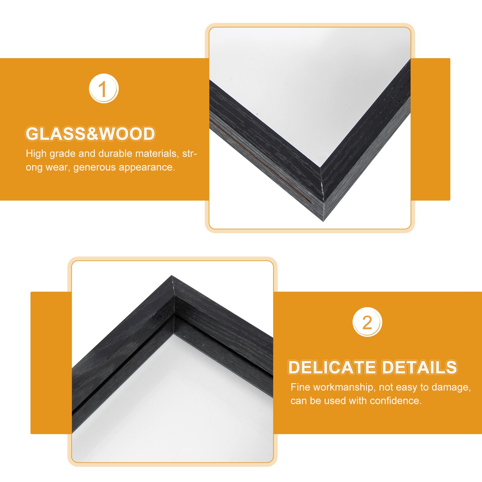 Insect Specimen Display Case DIY Butterflies Ornament Dust-Proof Plant Box