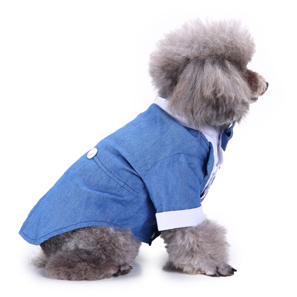 Estilo británico mascota perro boda Formal pajarita esmoquin traje chaqueta novio traje ropa