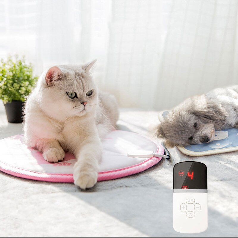 Säljare husdjur elektrisk filt värmedyna hund katt vinter varm vattentät anti-fångningsläckage djurkudde värmefilt pad