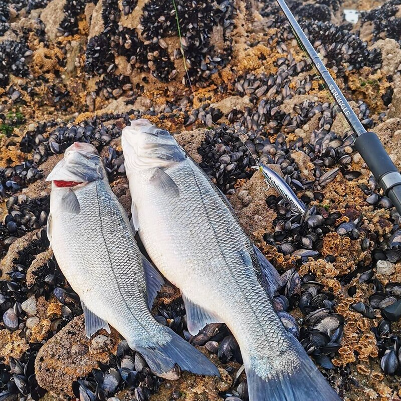 TSURINOYA-señuelo de pesca ultralargo, cebo duro de Pesca de Mar, peso de tungsteno, 120F, 120mm, 19g
