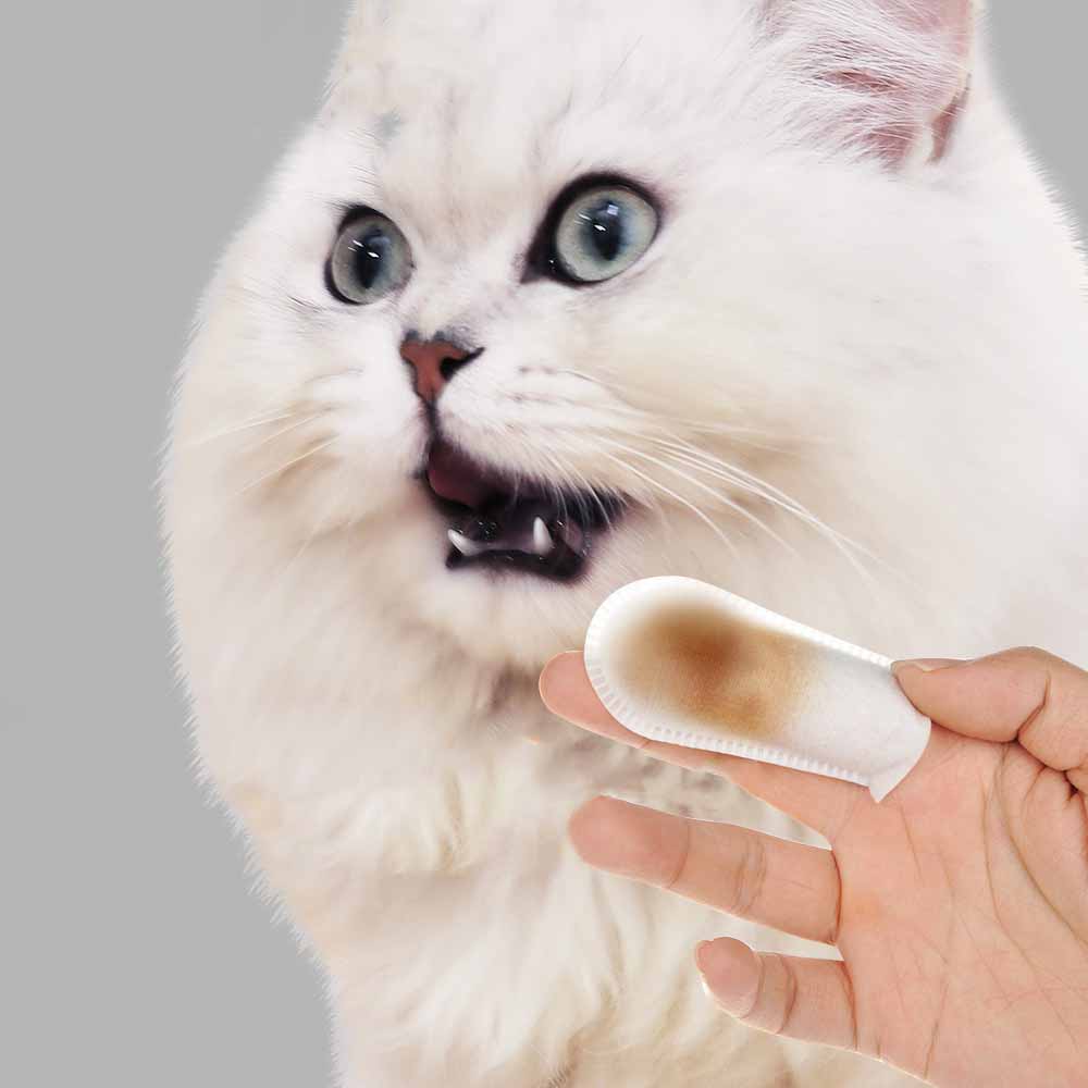 Aapet 50 stk / sæt engangs katte tænder børste kat killing tænder rengørings tænder rengøringshandsker til hundehvalpe tænder rengøringsværktøj