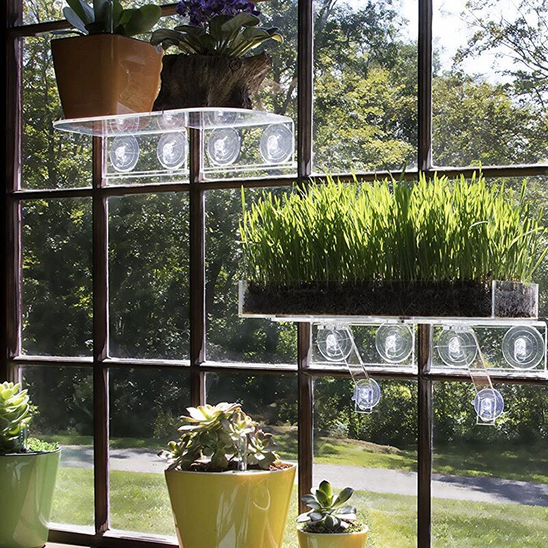 Ledge Suction Cup Window Shelf Acrylic Plant Window Shelf Indoor Window Plant Shelf for Creating Plants Garden on Window
