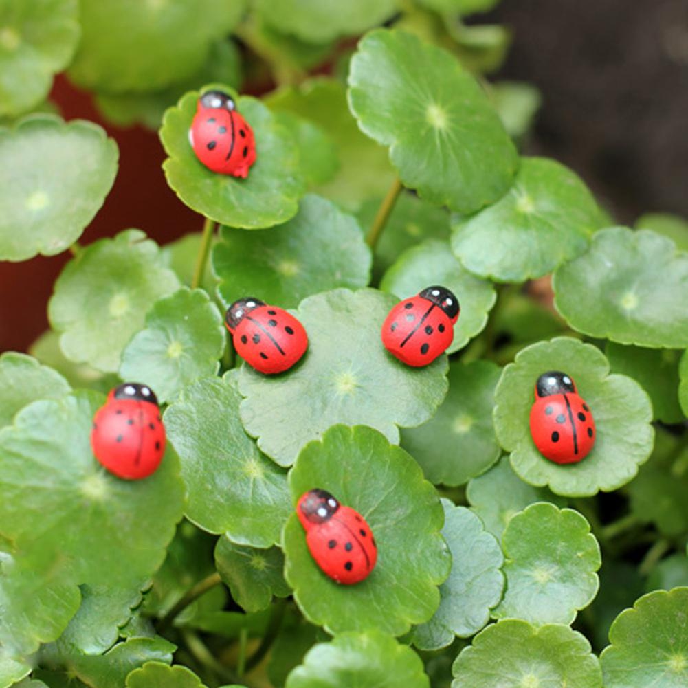 10Pcs Mini Ladybird Red Beetle Ladybug Fairy Doll House Garden Decor Ornament P31E: Default Title