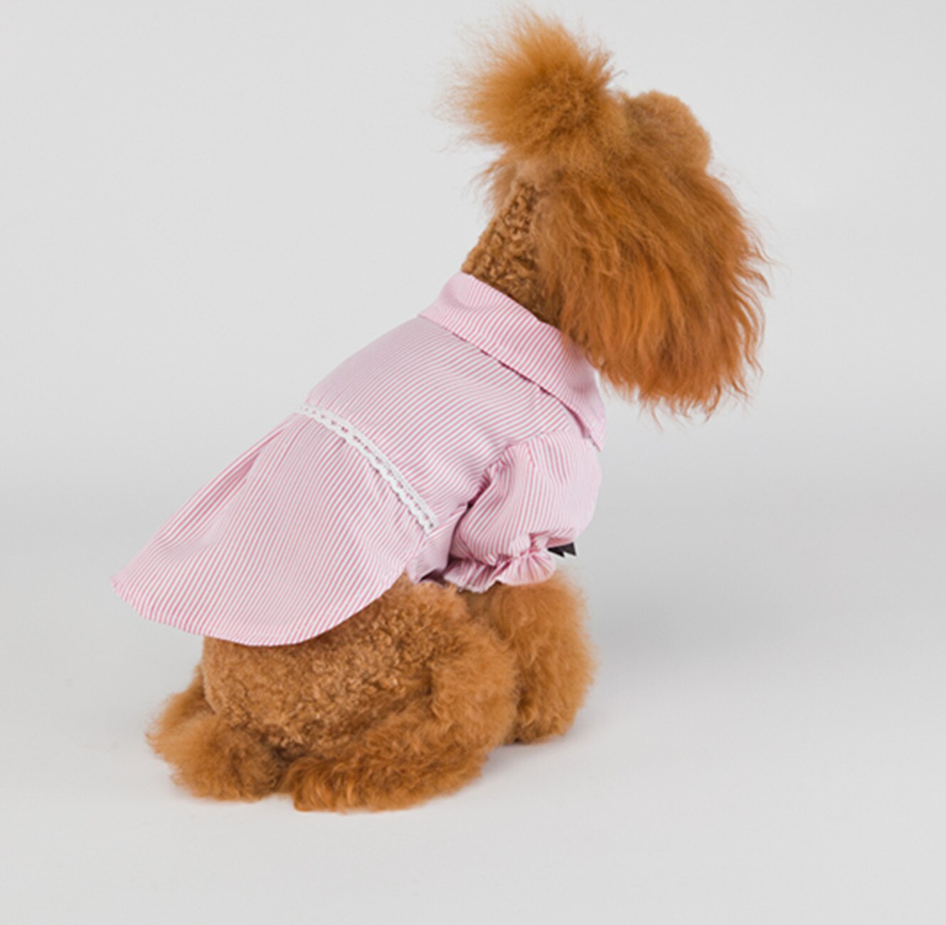 Chemises de luxe à rayures pour chiens et chats, vêtements pour petits chiens, rouge, bleu, à la , printemps été