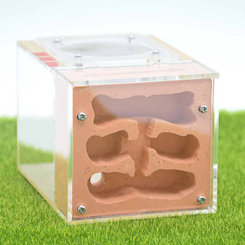 Acrylic & Gypsum Ants-Farm Ants Nest With A Whole Cover Longer Time To Keep Water 10*13*9.5cm