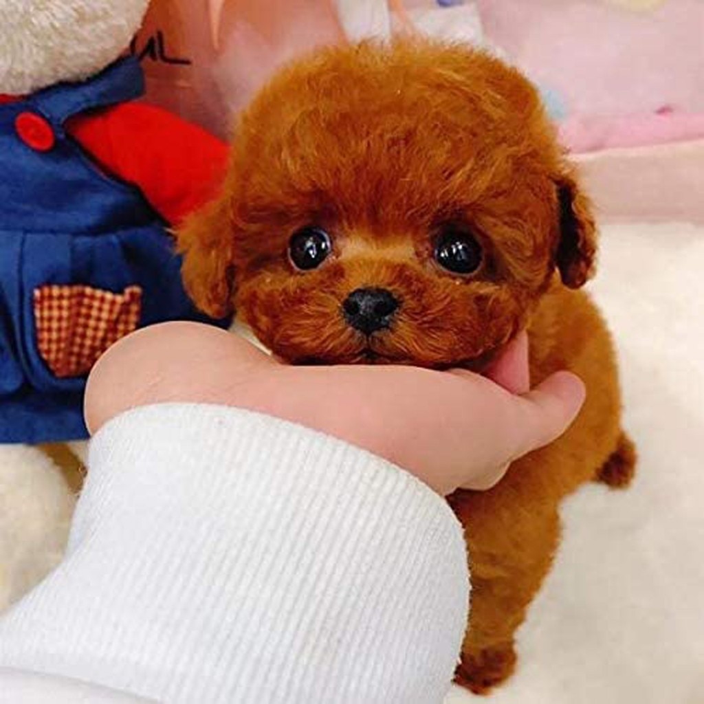 1PCS Electric Toy Soft Realistic Teddy Dog Plush Walking Glowing Barking Dog Funny Simulation Moving Plush Stuffed Doll Toys