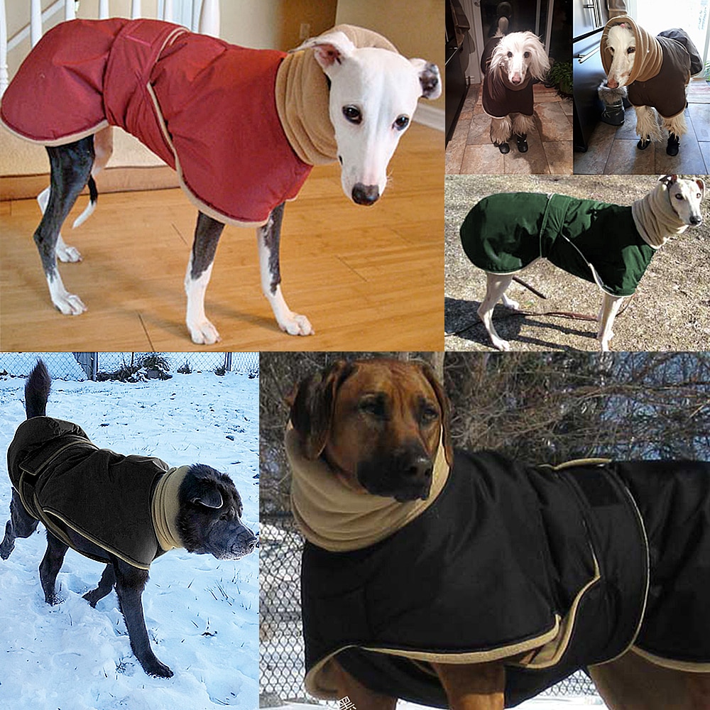 Vinter varmt hundetøj vandtæt tykt hundejakke tøj rød sort hundejakke med snorehul til mellemstore hunde vinthund